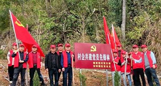 村企共建，共植先鋒林